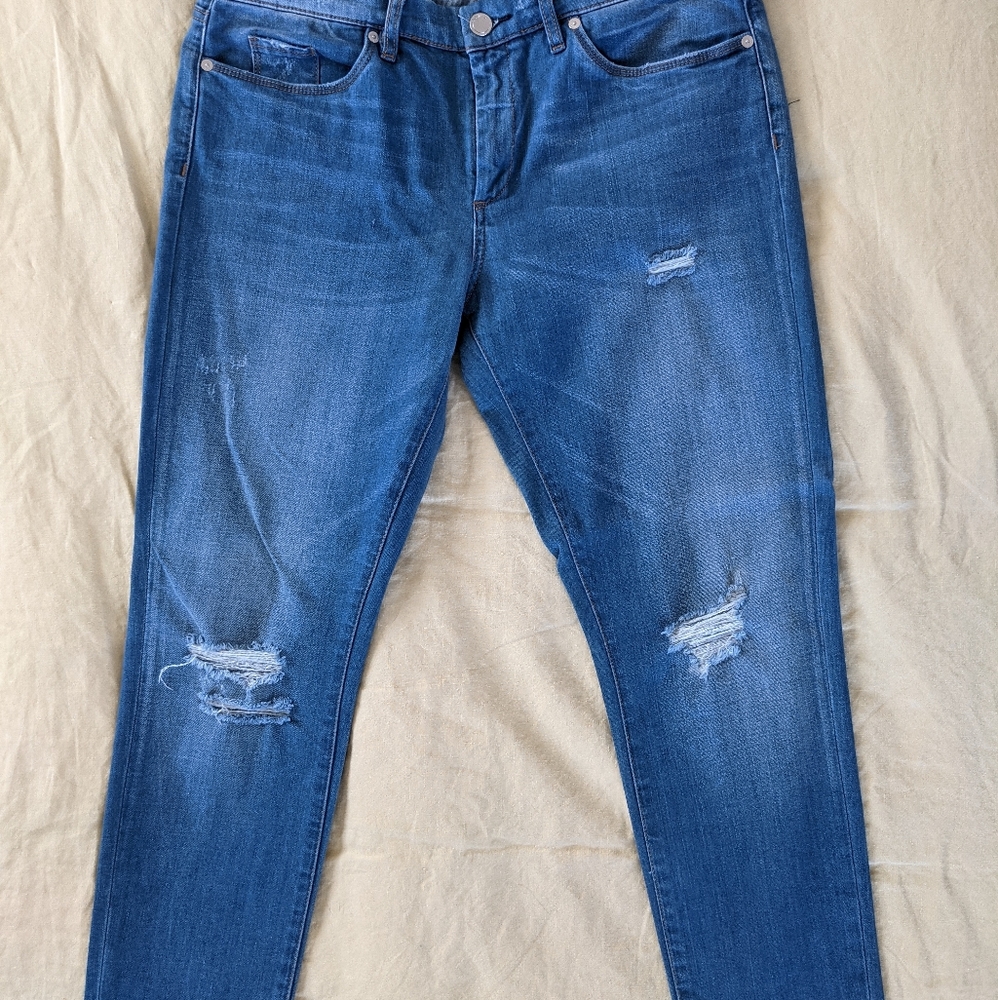BlankNYC Classique Skinny Jeans